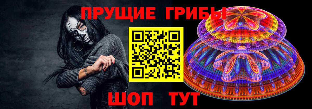 Псилоцибиновые грибы Psilocybe Дагестанские Огни