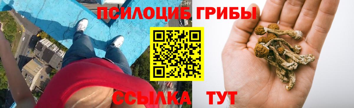 Галлюциногенные грибы мицелий  Вход с VPN  Дагестанские Огни 